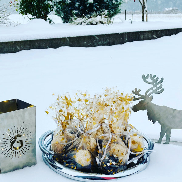 Impression Winter mit Elchi und Windlicht